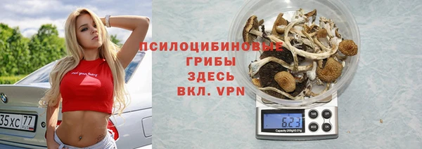 стаф Армянск