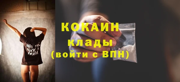 стаф Армянск