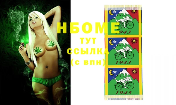 стаф Арсеньев