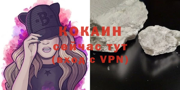 стаф Арсеньев