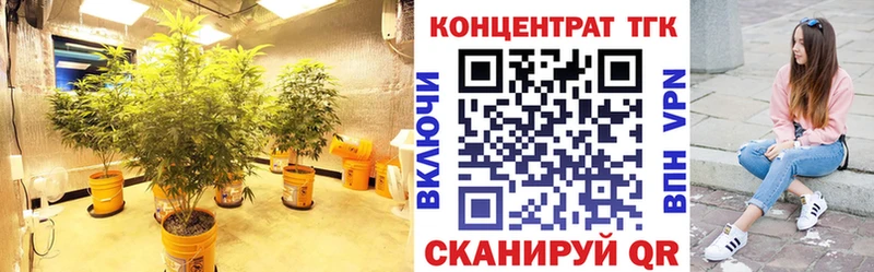 наркота  Каневская  ТГК THC oil 