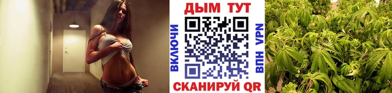 Конопля семена  сколько стоит  Каневская 